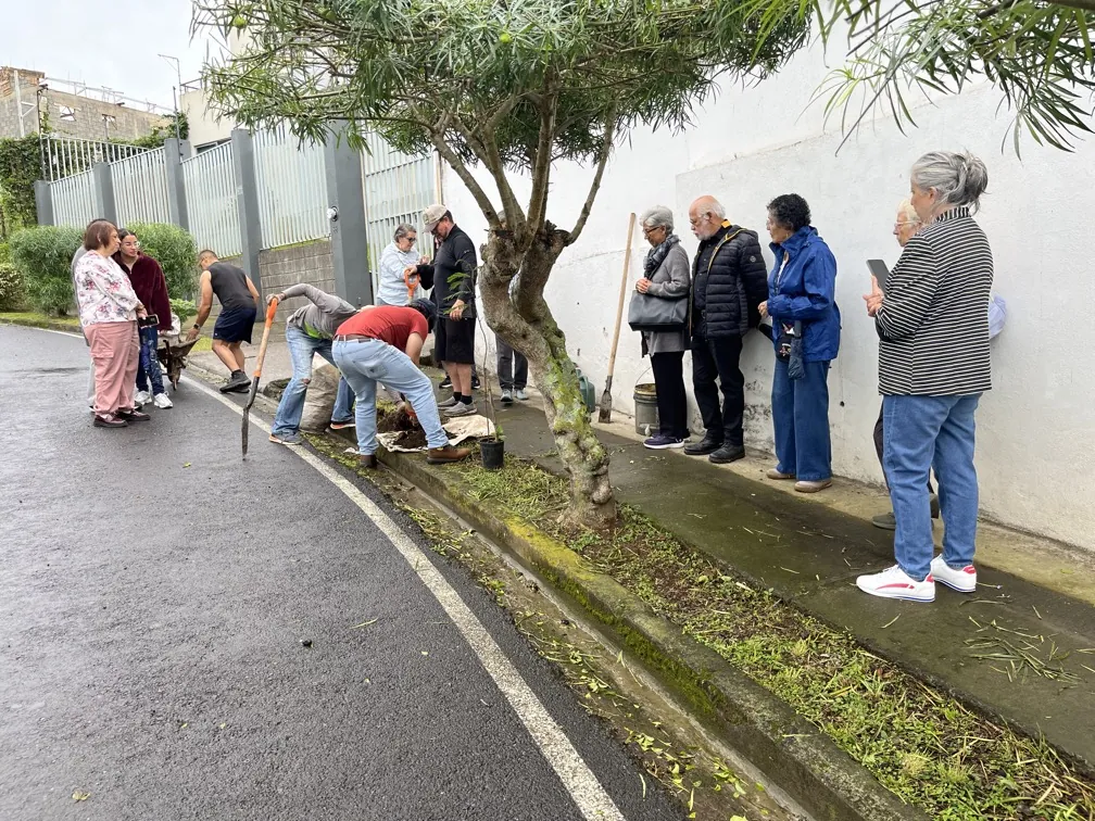 Vecinos acompañan la siembra del árbol memorial